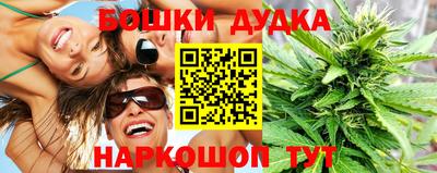 apvp Можга