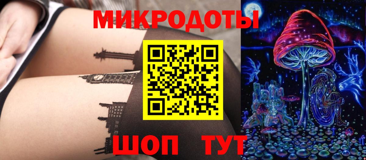 Псилоцибиновые грибы Cubensis  Вход с VPN  Дагестанские Огни 